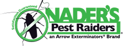 Nader’s Pest Raiders